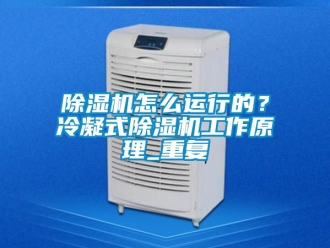 行業(yè)新聞除濕機(jī)怎么運(yùn)行的？冷凝式除濕機(jī)工作原理_重復(fù)
