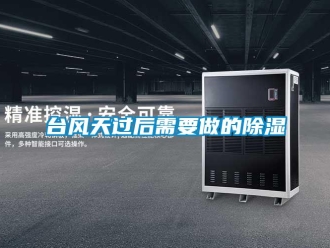 知識百科臺風(fēng)天過后需要做的除濕