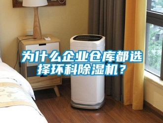 知識百科為什么企業(yè)倉庫都選擇環(huán)科除濕機？