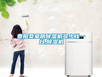 行業(yè)新聞貴陽(yáng)桑拿房除濕機(jī)多少錢(qián)一臺(tái),除濕機(jī)