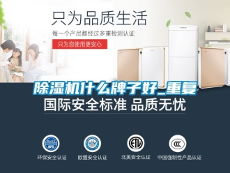 行業(yè)新聞除濕機(jī)什么牌子好_重復(fù)