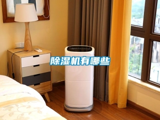 行業(yè)新聞除濕機有哪些