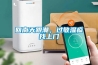 回南天跟潮，過敏濕疹找上門