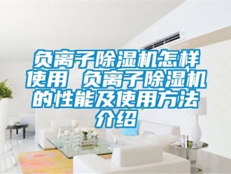 行業(yè)新聞負(fù)離子除濕機(jī)怎樣使用 負(fù)離子除濕機(jī)的性能及使用方法介紹