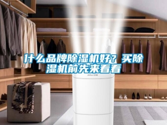 知識(shí)百科什么品牌除濕機(jī)好？買除濕機(jī)前先來看看
