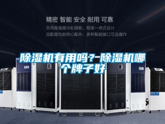 行業(yè)新聞除濕機(jī)有用嗎？除濕機(jī)哪個(gè)牌子好