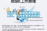滋補品、保健品不宜保存太久，行內(nèi)專家告訴你儲藏方法