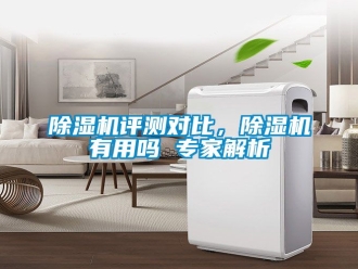 行業(yè)新聞除濕機(jī)評測對比，除濕機(jī)有用嗎 專家解析
