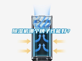 行業(yè)新聞除濕機哪個牌子性能好？