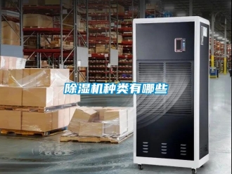 行業(yè)新聞除濕機(jī)種類有哪些
