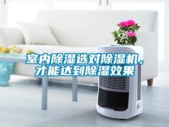 知識(shí)百科室內(nèi)除濕選對(duì)除濕機(jī)，才能達(dá)到除濕效果