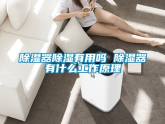 行業(yè)新聞除濕器除濕有用嗎 除濕器有什么工作原理