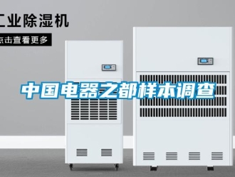 知識百科中國電器之都樣本調(diào)查