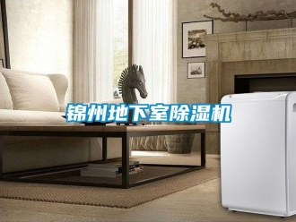行業(yè)新聞錦州地下室除濕機(jī)
