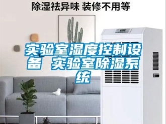 知識(shí)百科實(shí)驗(yàn)室濕度控制設(shè)備 實(shí)驗(yàn)室除濕系統(tǒng)