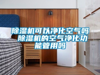 行業(yè)新聞除濕機可以凈化空氣嗎 除濕機的空氣凈化功能管用嗎