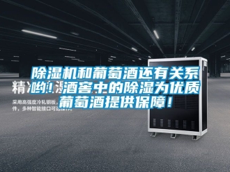 行業(yè)新聞除濕機(jī)和葡萄酒還有關(guān)系喲！酒窖中的除濕為優(yōu)質(zhì)葡萄酒提供保障！