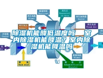 行業(yè)新聞除濕機(jī)能降低溫度嗎  室內(nèi)除濕機(jī)能降溫？室內(nèi)除濕機(jī)能降溫嗎