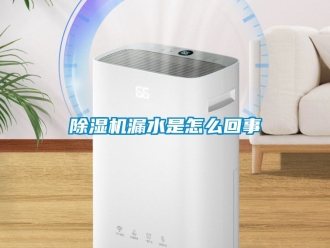 行業(yè)新聞除濕機漏水是怎么回事