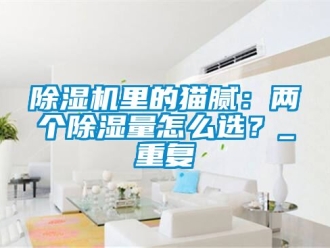 行業(yè)新聞除濕機(jī)里的貓膩：兩個(gè)除濕量怎么選？_重復(fù)