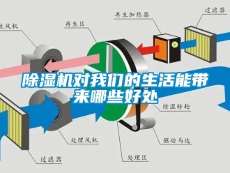 行業(yè)新聞除濕機(jī)對(duì)我們的生活能帶來哪些好處