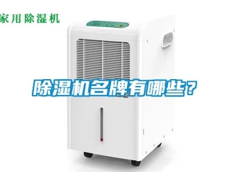 行業(yè)新聞除濕機(jī)名牌有哪些？