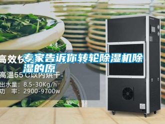 知識百科專家告訴你轉(zhuǎn)輪除濕機(jī)除濕的原