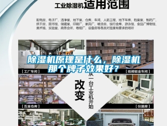 行業(yè)新聞除濕機原理是什么，除濕機那個牌子效果好？