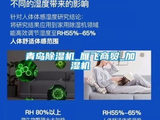 行業(yè)新聞青島除濕機_雁飛商貿_加濕機