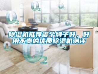 行業(yè)新聞除濕機(jī)推薦哪個(gè)牌子好，好用不貴的優(yōu)質(zhì)除濕機(jī)測(cè)評(píng)