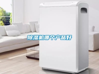 行業(yè)新聞除濕機(jī)哪個(gè)產(chǎn)品好