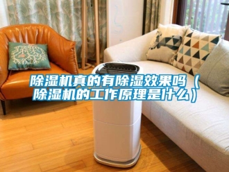 行業(yè)新聞除濕機(jī)真的有除濕效果嗎（除濕機(jī)的工作原理是什么）