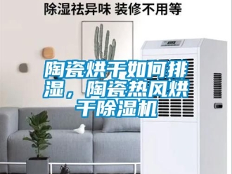 行業(yè)新聞陶瓷烘干如何排濕，陶瓷熱風烘干除濕機