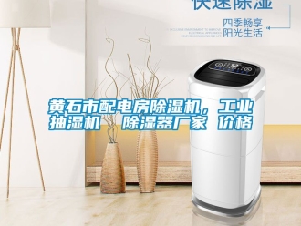 企業(yè)新聞黃石市配電房除濕機，工業(yè)抽濕機  除濕器廠家 價格
