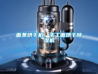 行業(yè)新聞面條烘干機(jī)，手工面烘干除濕機(jī)