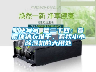 行業(yè)新聞隨便寫寫 篇三十四：春雨綿綿衣難干，看我小小除濕機的大用處