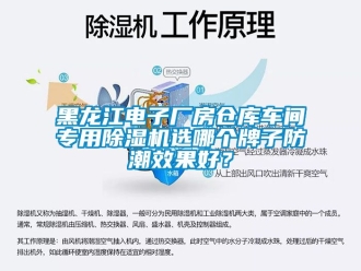 企業(yè)新聞黑龍江電子廠房倉庫車間專用除濕機選哪個牌子防潮效果好？