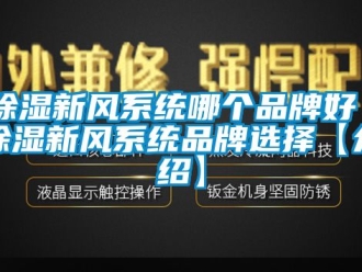 行業(yè)新聞除濕新風(fēng)系統(tǒng)哪個品牌好 除濕新風(fēng)系統(tǒng)品牌選擇【介紹】