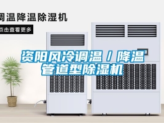 行業(yè)新聞資陽風(fēng)冷調(diào)溫／降溫管道型除濕機(jī)