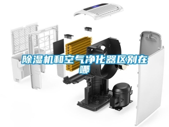 行業(yè)新聞除濕機(jī)和空氣凈化器區(qū)別在哪