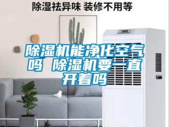 行業(yè)新聞除濕機(jī)能凈化空氣嗎 除濕機(jī)要一直開著嗎