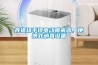 養(yǎng)豬場手提電動噴霧器，便攜式消毒設(shè)備