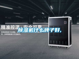 行業(yè)新聞除濕機(jī)什么牌子好,