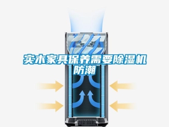 知識百科實木家具保養(yǎng)需要除濕機防潮