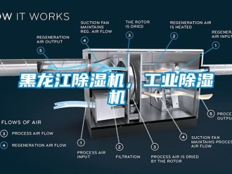 常見問題黑龍江除濕機，工業(yè)除濕機