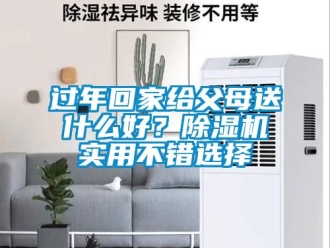 行業(yè)新聞過(guò)年回家給父母送什么好？除濕機(jī)實(shí)用不錯(cuò)選擇