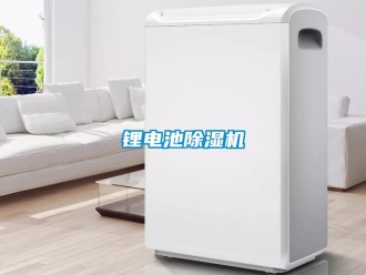 行業(yè)新聞鋰電池除濕機(jī)