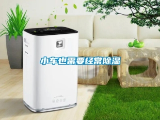 知識百科小車也需要經(jīng)常除濕