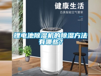 行業(yè)新聞鋰電池除濕機(jī)的除濕方法有哪些？