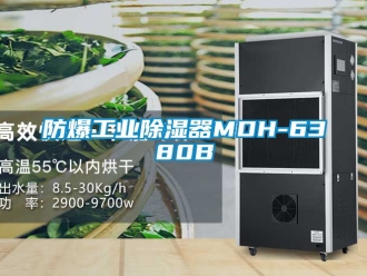行業(yè)新聞防爆工業(yè)除濕器MDH-6380B